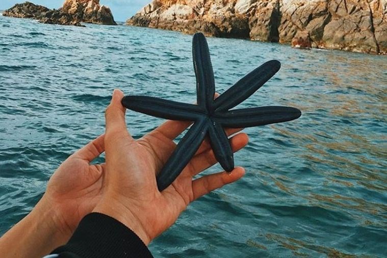 HÒN SẸO - QUY NHƠN